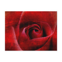 Red Rosesマクロ。