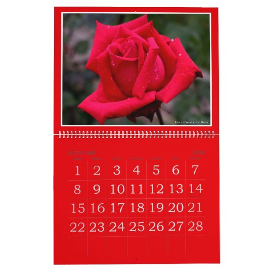 Red Roses Calendar (Type-A) カレンダー (2月 2026)