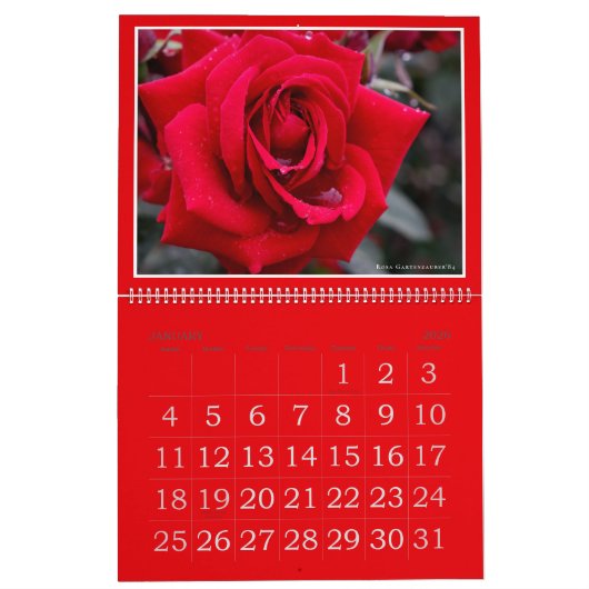 Red Roses Calendar (Type-A) カレンダー (1月 2026)