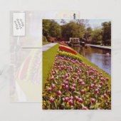 Red Roundhay Park, Leeds，イングランドの花 ポストカード (正面/裏面)