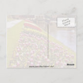 Red Roundhay Park, Leeds，イングランドの花 ポストカード (裏面)