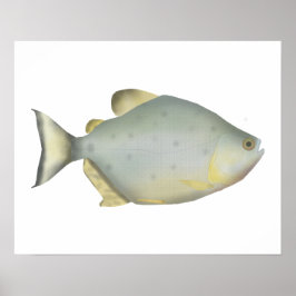 Red Ruby Piranha ポスター