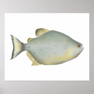 Red Ruby Piranha ポスター