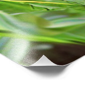 RED RUDBECKIA FLOWERS フォトプリント            (角)