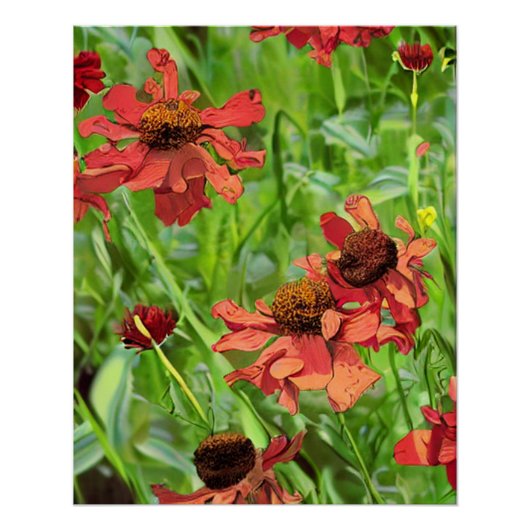 RED RUDBECKIA FLOWERS ポスター (正面)