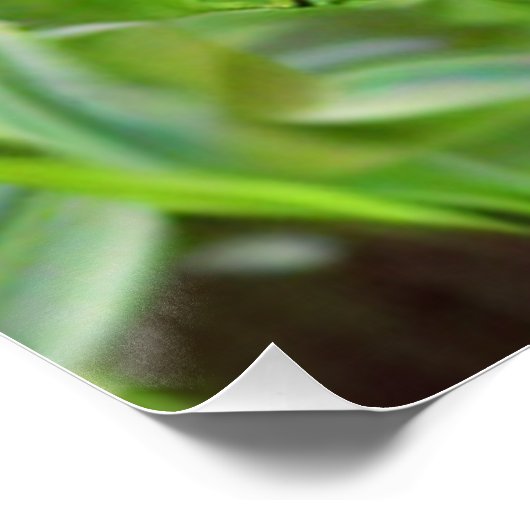 RED RUDBECKIA FLOWERS ポスター (コーナー)