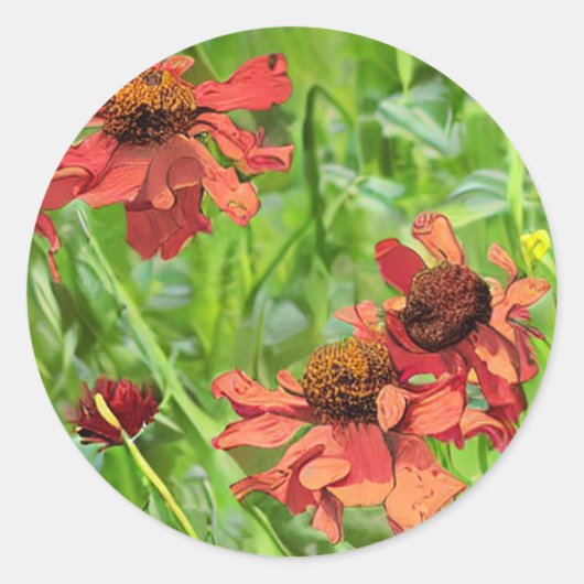 RED RUDBECKIA FLOWERS ラウンドシール (正面)