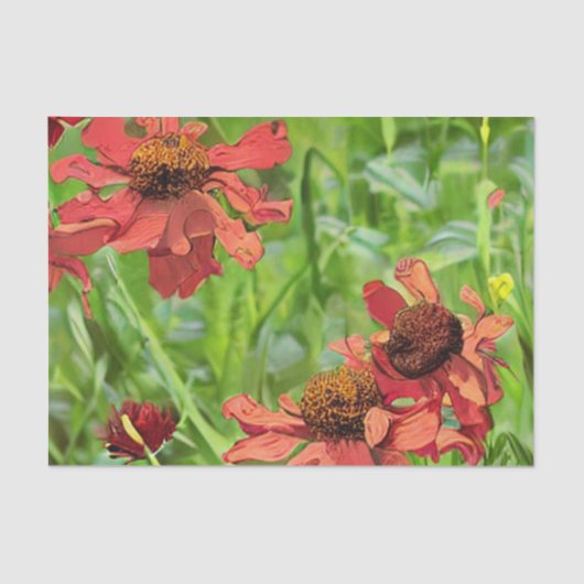 RED RUDBECKIA FLOWERS 薄葉紙 (正面)