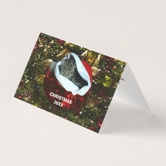 Red Santa Hat Christmas 20XXでショートヘアのグレー猫 (正面)