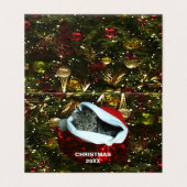 Red Santa Hat Christmas 20XXでショートヘアのグレー猫 (外部フラット)