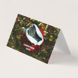 Red Santa Hat Christmas 20XXでショートヘアのグレー猫