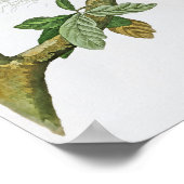 Red-shouldered Hawk John Audubon Birds of America ポスター (角)