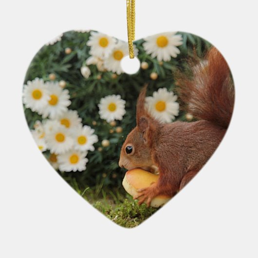Red Squirrel and Daisies Cute Photo セラミックオーナメント (正面)