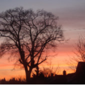 red sunset sky black silhouette trees ジグソーパズル