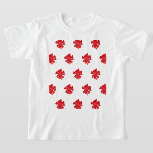 Red, Tシャツ (レイダウン)