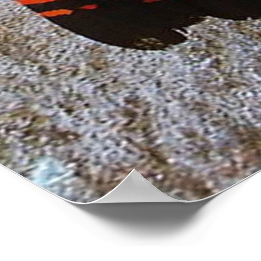 Red Tailed Black Cockatoo Poster ポスター (角)