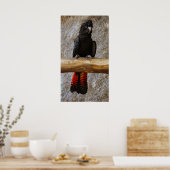 Red Tailed Black Cockatoo Poster ポスター (キッチン)
