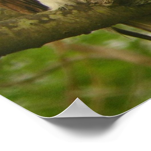 Red Tailed Hawk ポスター (角)