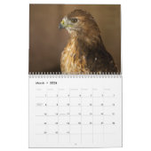 Red Tailed Hawk 2023 Calendar カレンダー (3月 2026)