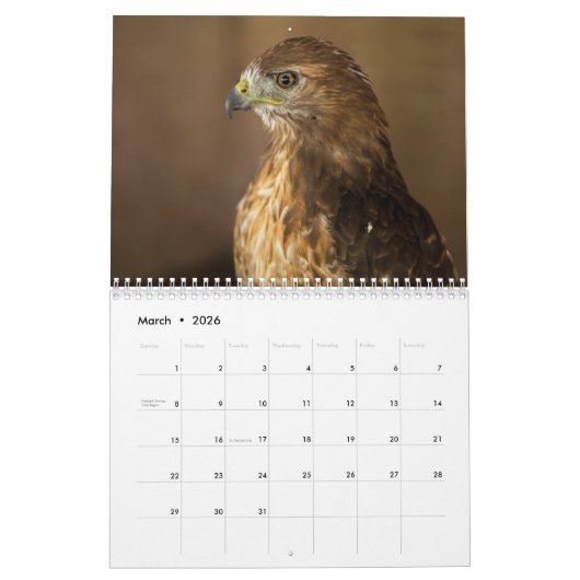 Red Tailed Hawk 2023 Calendar カレンダー (3月 2026)