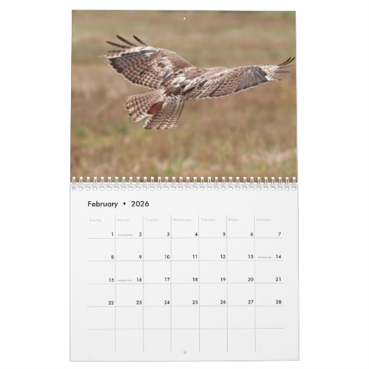 Red Tailed Hawk 2023 Calendar カレンダー (2月 2026)