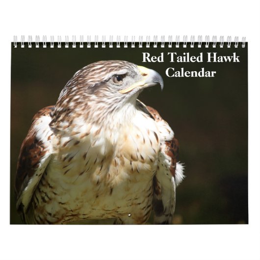 Red Tailed Hawk 2023 Calendar カレンダー (カバー)