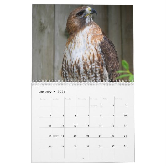 Red Tailed Hawk 2023 Calendar カレンダー (1月 2026)