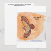 Red-tailed hawk Greeting Card 招待状 (正面/裏面)