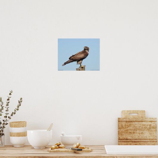 Red-tailed Hawk Poster ポスター (キッチン)