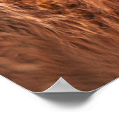 Red Tibetan Mastiff ポスター (角)
