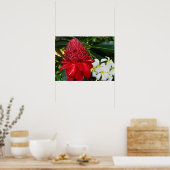 Red Torch Ginger White Plumaria Flowers Posters ポスター (キッチン)