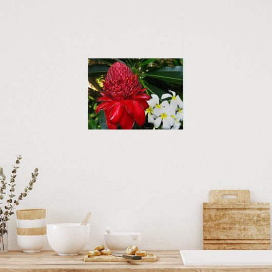 Red Torch Ginger White Plumaria Flowers Posters ポスター (キッチン)