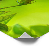 🌺 Red Tropical Kiss 💋 ポスター (角)