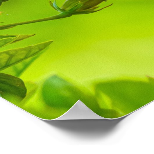 🌺 Red Tropical Kiss 💋 ポスター (角)