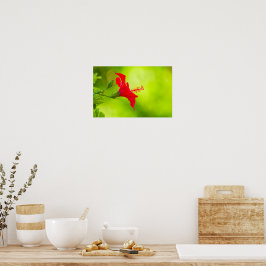 🌺 Red Tropical Kiss 💋 ポスター