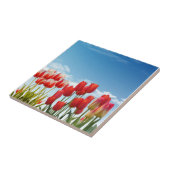 Red Tulip Flowers タイル (側面)