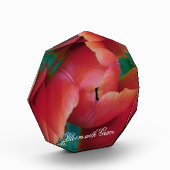 Red Tulip Macro Photo Art Block フォトブロック (左)