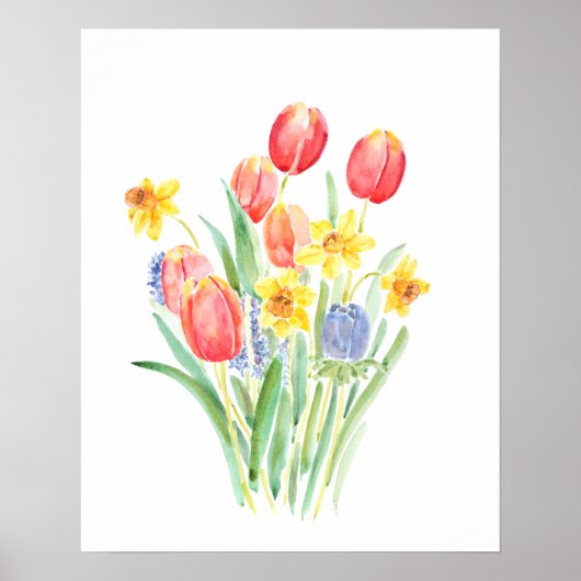 red tulips and yellow daffodils watercolor  ポスター (正面)