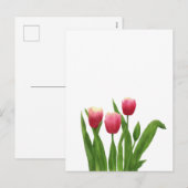 Red Tulips in Watercolour Style シーズンポストカード (正面/裏面)