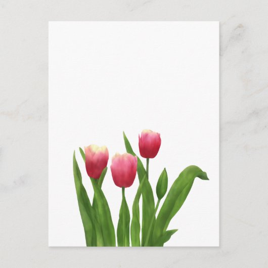 Red Tulips in Watercolour Style シーズンポストカード (正面)