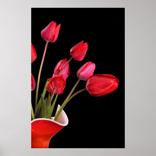 Red Tulips on Black Poster ポスター (正面)