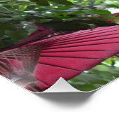 Red Umbrellas in the Sky - Asian Poster ポスター (コーナー)