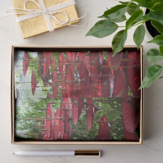 Red Umbrellas in the Sky - Asian Tissue Paper 薄葉紙 (ギフト)