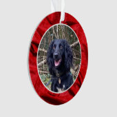 Red Velvet Pet Photo Christmas オーナメント (正面)