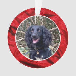 Red Velvet Pet Photo Christmas オーナメント