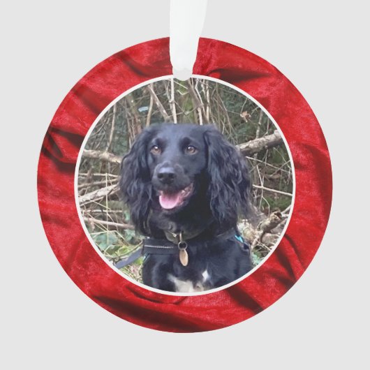 Red Velvet Pet Photo Christmas オーナメント (正面)