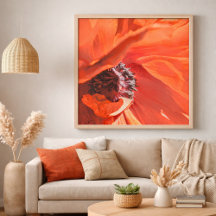 Red Vibrant Poppy Flower Photography by Meggidoo