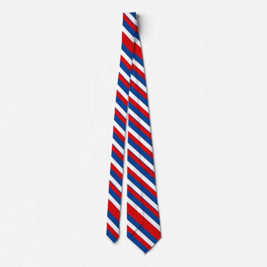 Red, White, and Blue Presidential Stripe Tie ネクタイ (裏面)