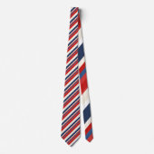 Red, White and Blue Striped Patriotic Necktie ネクタイ (正面)
