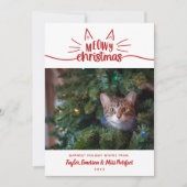 Red White Meowy Christmas - Cat Christmas Photo シーズンカード (正面)